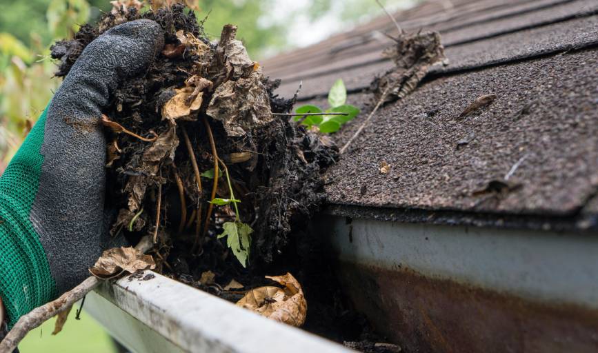Gutter Cleaning